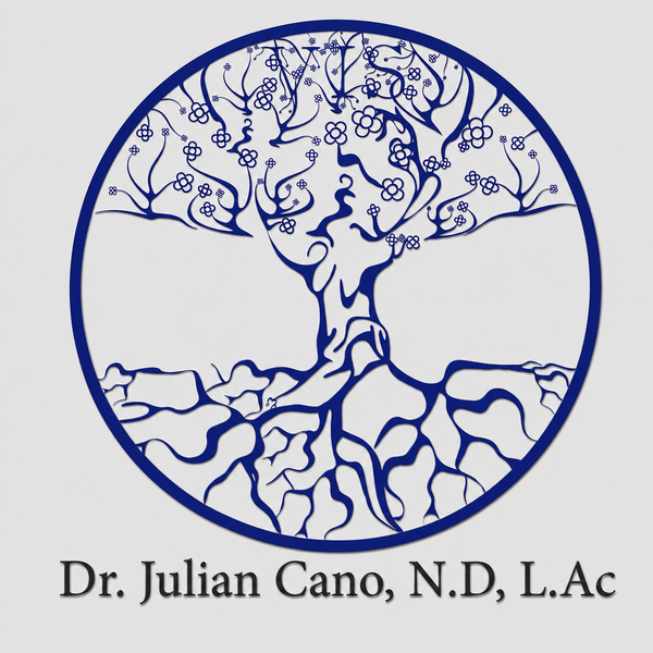 Dr Julian Cano LLC
