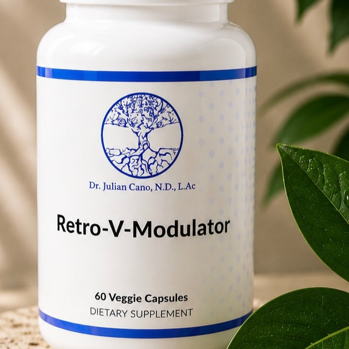 Meet Retro-V -Modulator